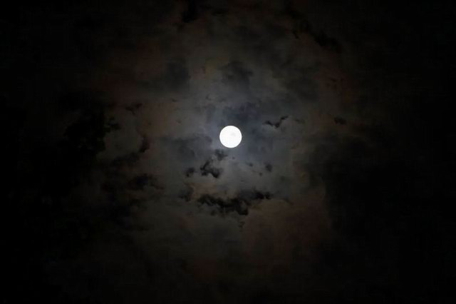 1664332425538282.jpg